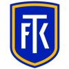Теплице U19