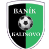 Логотип команды Калиново