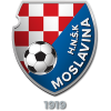 Логотип команды Moslavina
