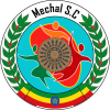 Логотип команды Мечал