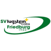 Логотип команды Friedburg