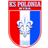 Логотип команды Nysa