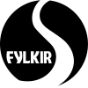 Логотип команды Fylkir W