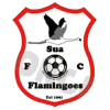 Sua Flamingoes
