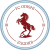 Одіші 1919