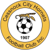 Логотип команды Cessnock City Hornets