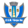 Логотип команды КСМ Тыргу-Жиу