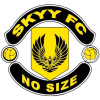Логотип команды Skyy