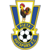 Пьета