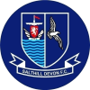 Логотип команды Salthill