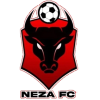 Логотип команды Neza FC