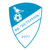 Логотип команды Ветерник