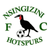 Логотип команды Nsingizini Hotspurs