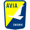 Авіа Свіднік