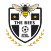 Логотип команды The Bees