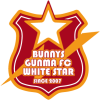 Логотип команды Gunma W