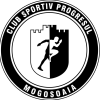 Логотип команды Mogosoaia