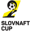 Slovak Cup