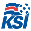 Кубок Fotbolti.net