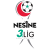 3. Lig Play Offs