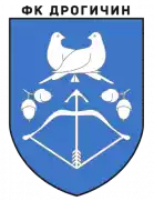 Drahichyn