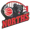 Norths Bears