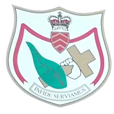 St Albans Cardiff FC