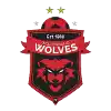 Wollongong Wolves U20