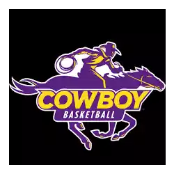Hardin-Simmons Cowboys