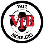 VfB Modling