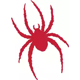 Richmond Spiders