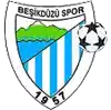 Besikduzuspor