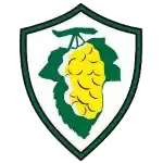 CLB PAO Aittitos Spata