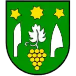 Tj Vinohrad Cebovce