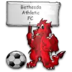 Bethesda Thể thao