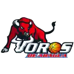 Toros De Aragua