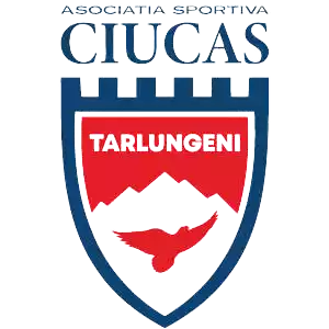 ASC Ciucas Tarlungeni