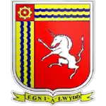 Câu lạc bộ Cwmaman Institute