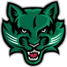 Бингхемптон Биркэтс