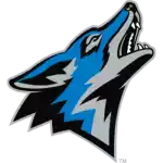 Đại học Bang San Bernardino Coyotes