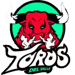 Toros del Valle