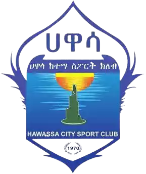 Awassa City