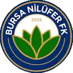 Bursa Nilufer FK