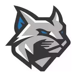 Penn State Tech Wildcats