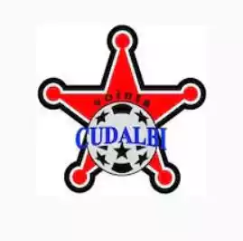 CS Vointa Cudalbi 2015