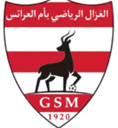 GS Om Laarayes
