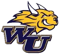 Вебстер Университи