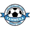 Tammeka Tartu III
