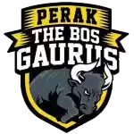 FC Perak
