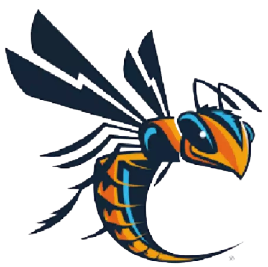 Cedarville Yellow Jackets (Women)